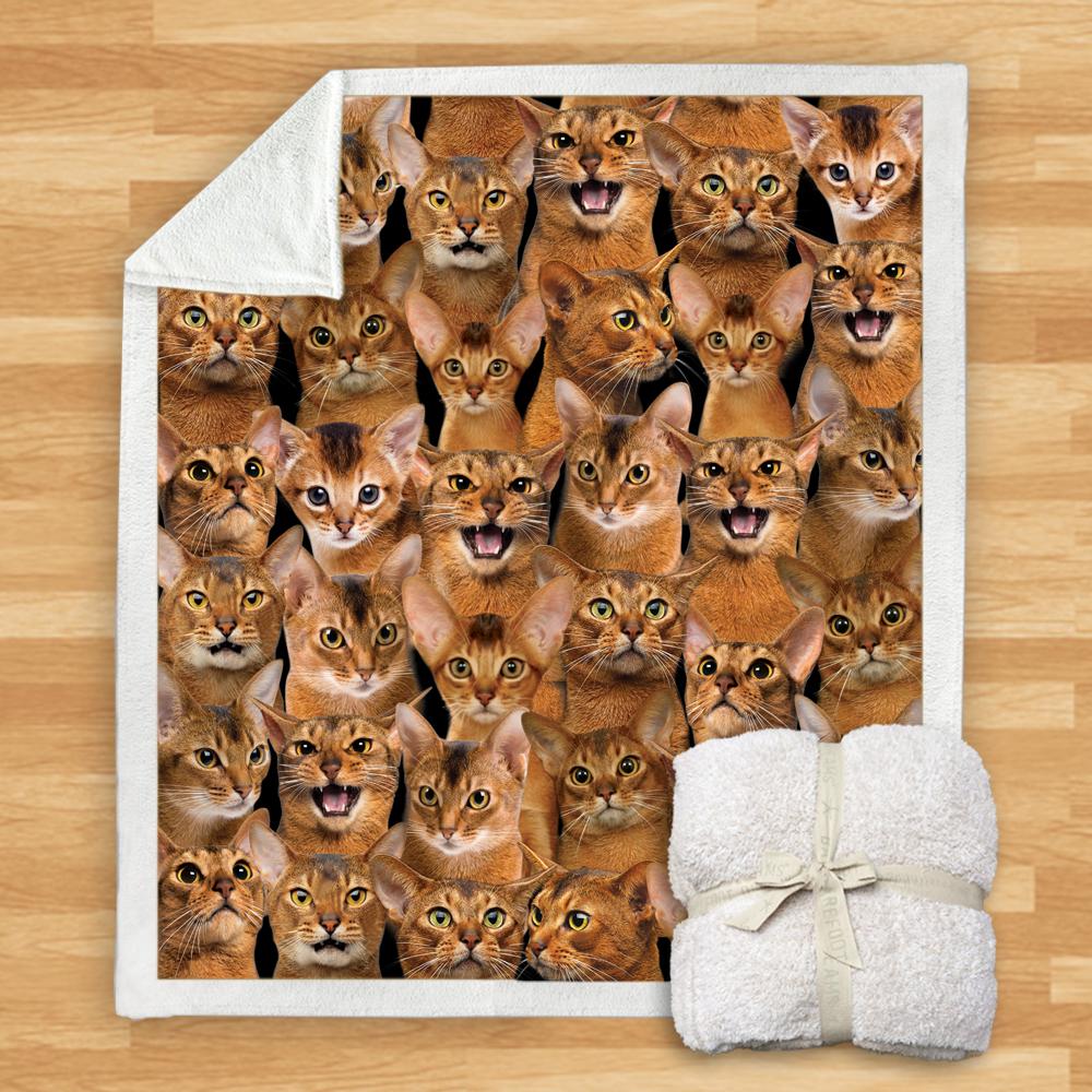 You Will Have A Bunch Of Abyssinian Cats Blanket You Will Have A Bunch Of Abyssinian Cats Blanket You Will Have A Bunch Of Blanket
