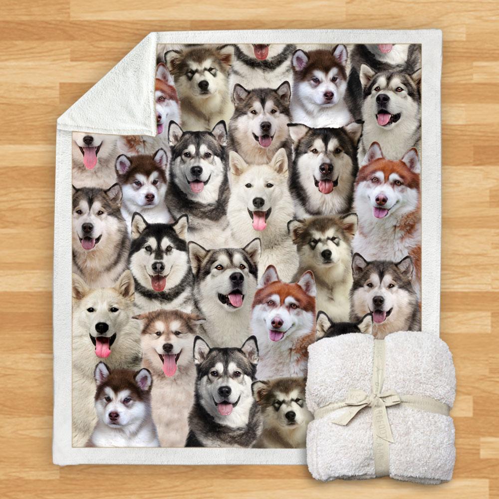 You Will Have A Bunch Of Alaskan Malamutes Blanket You Will Have A Bunch Of Alaskan Malamutes Blanket You Will Have A Bunch Of Blanket
