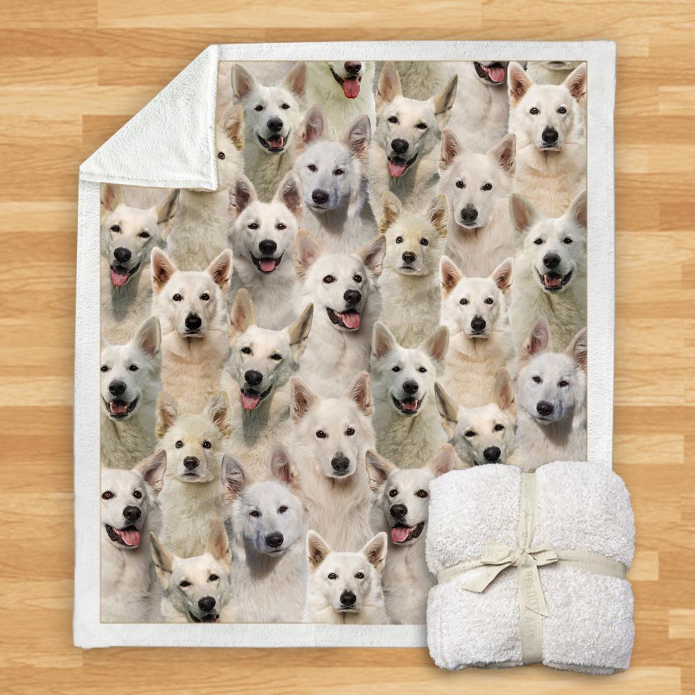 You Will Have A Bunch Of Berger Blanc Suisses Blanket You Will Have A Bunch Of Berger Blanc Suisses Blanket You Will Have A Bunch Of Blanket