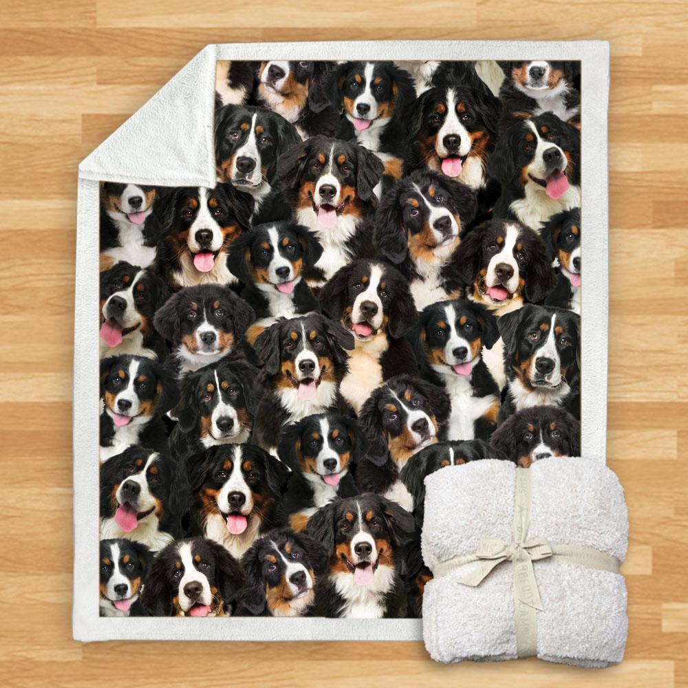 You Will Have A Bunch Of Bernese Mountains Blanket You Will Have A Bunch Of Bernese Mountains Blanket You Will Have A Bunch Of Blanket