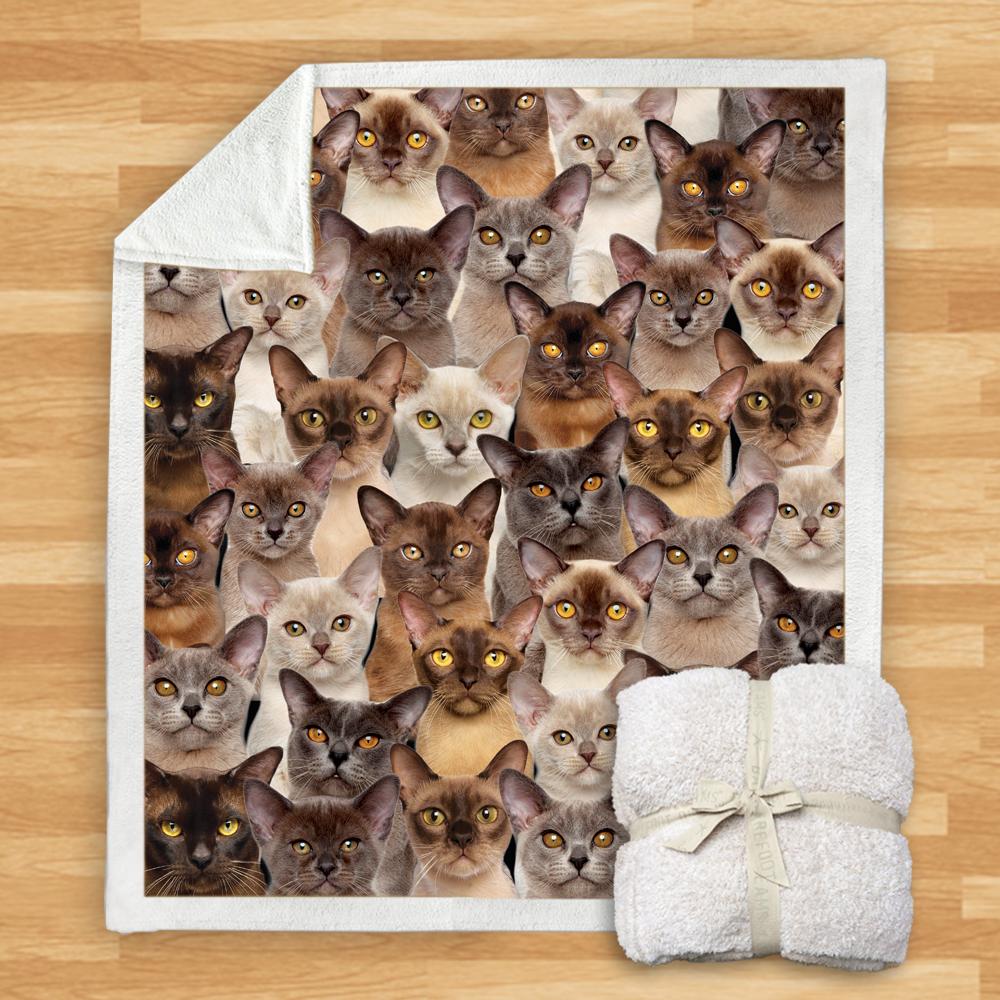 You Will Have A Bunch Of Burmese Cats Blanket You Will Have A Bunch Of Burmese Cats Blanket You Will Have A Bunch Of Blanket