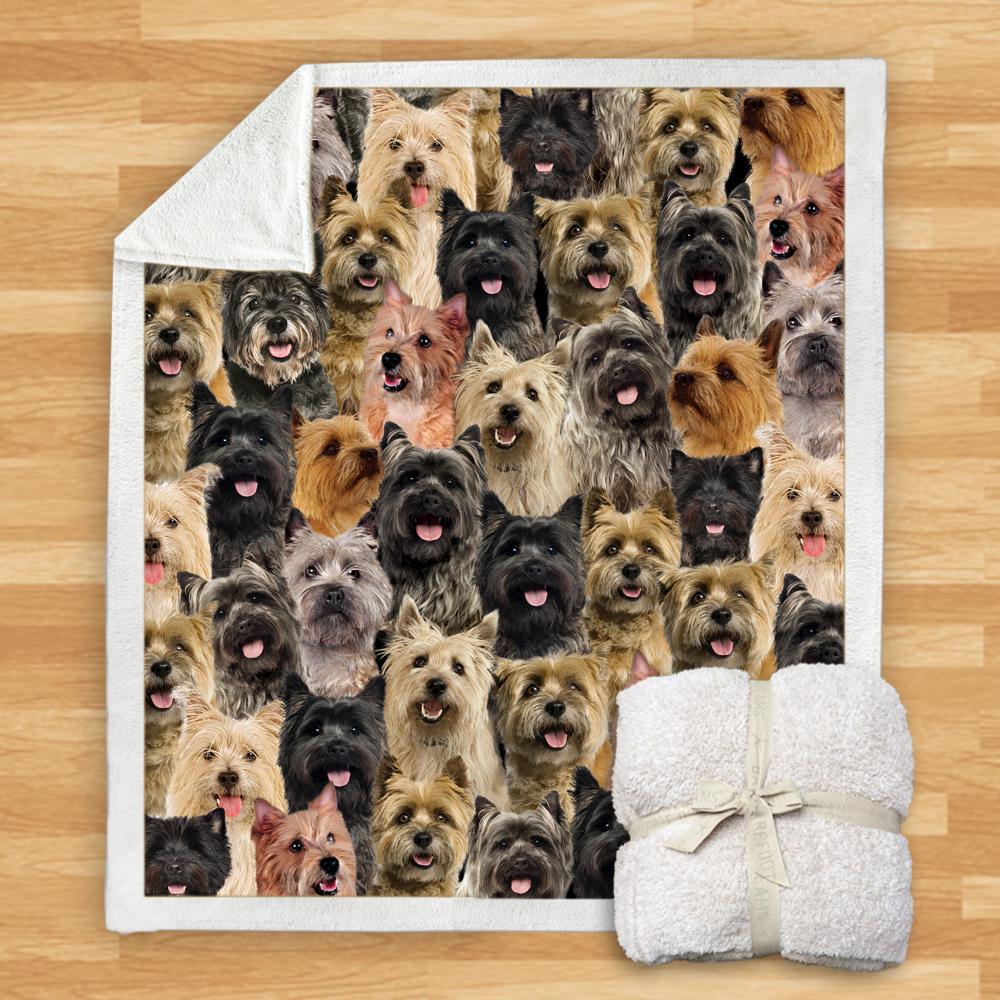 You Will Have A Bunch Of Cairn Terriers Blanket You Will Have A Bunch Of Cairn Terriers Blanket You Will Have A Bunch Of Blanket