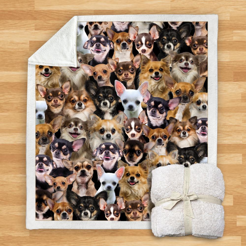 You Will Have A Bunch Of Chihuahuas Blanket You Will Have A Bunch Of Chihuahuas Blanket Chihuahua Blanket