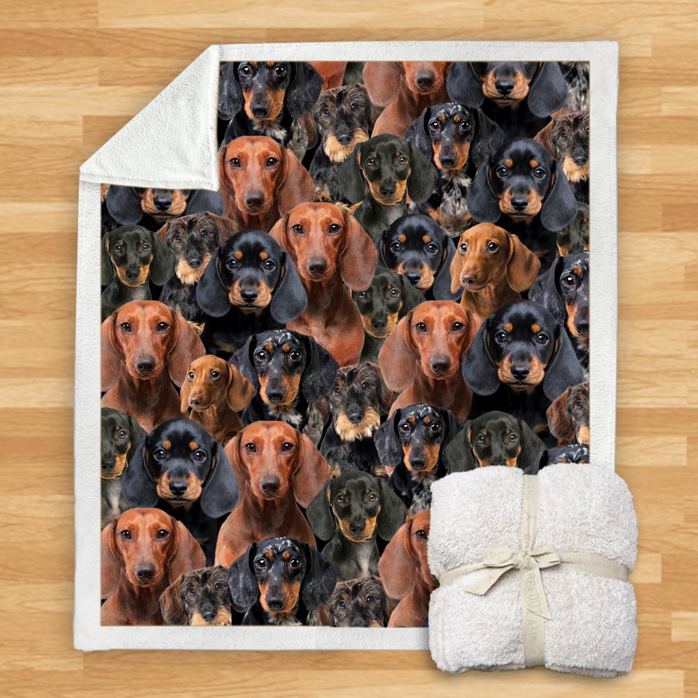 You Will Have A Bunch Of Dachshunds Blanket You Will Have A Bunch Of Dachshunds Blanket You Will Have A Bunch Of Blanket