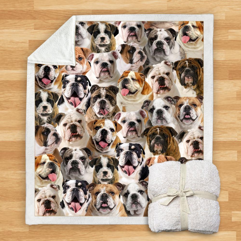 You Will Have A Bunch Of English Bulldogs Blanket You Will Have A Bunch Of Blanket