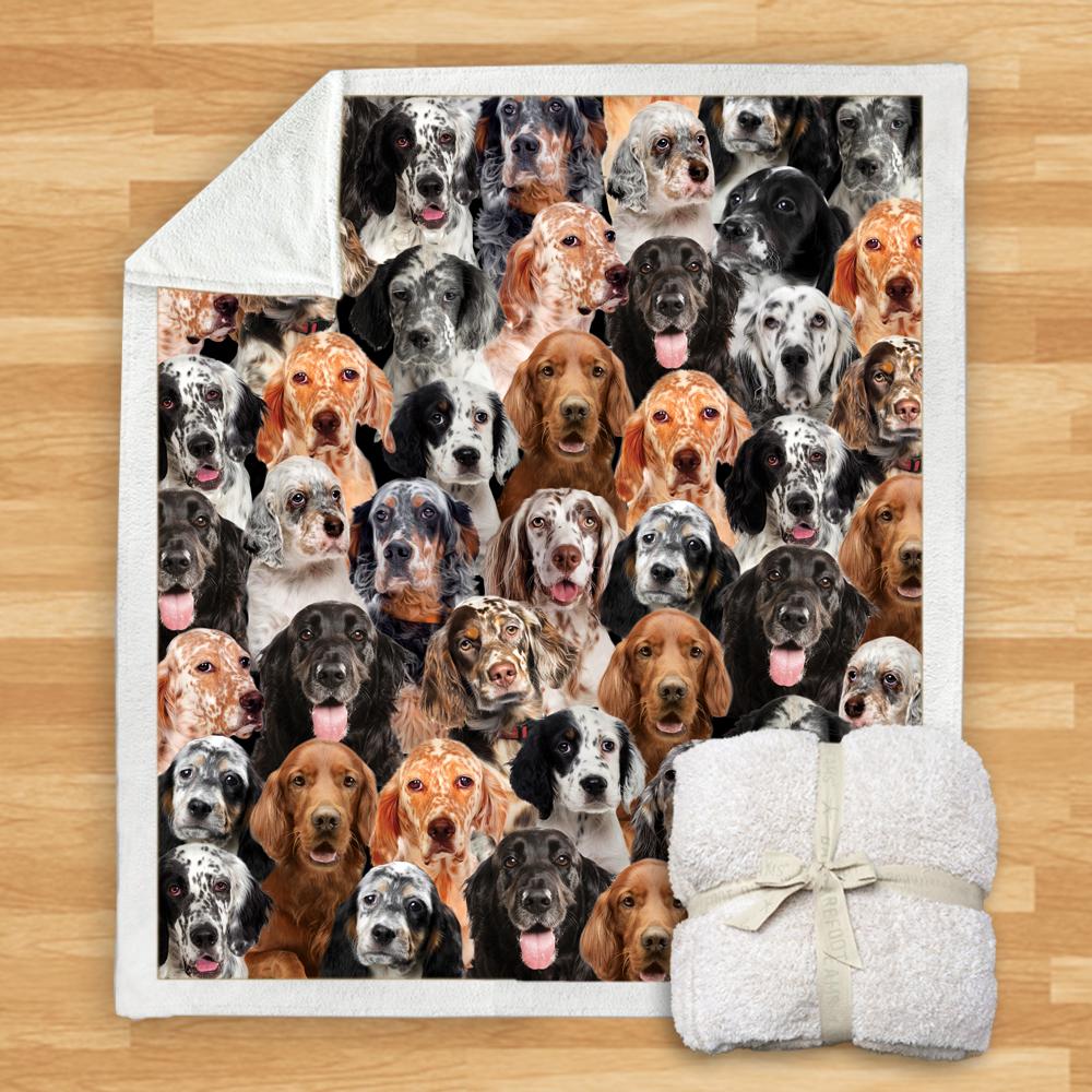 You Will Have A Bunch Of English Setters Blanket You Will Have A Bunch Of Blanket