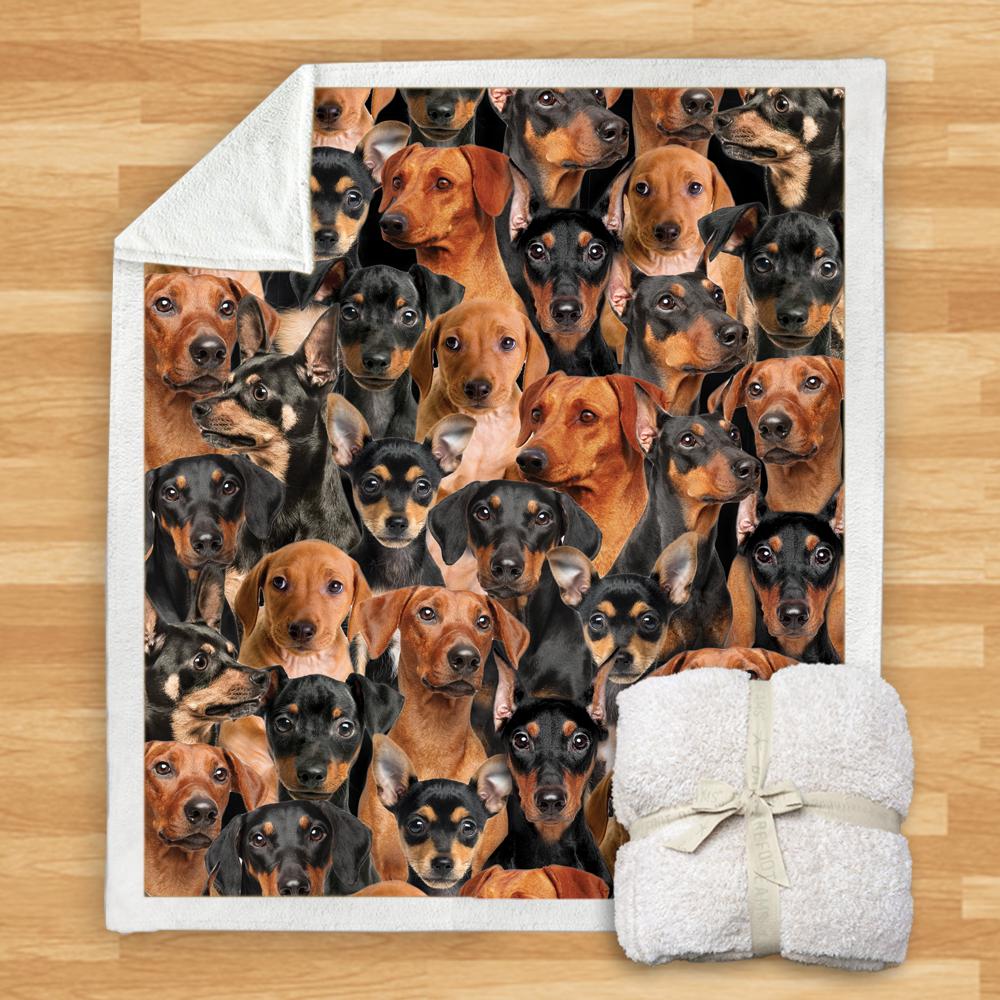 You Will Have A Bunch Of German Pinschers Blanket You Will Have A Bunch Of German Pinschers Blanket You Will Have A Bunch Of Blanket