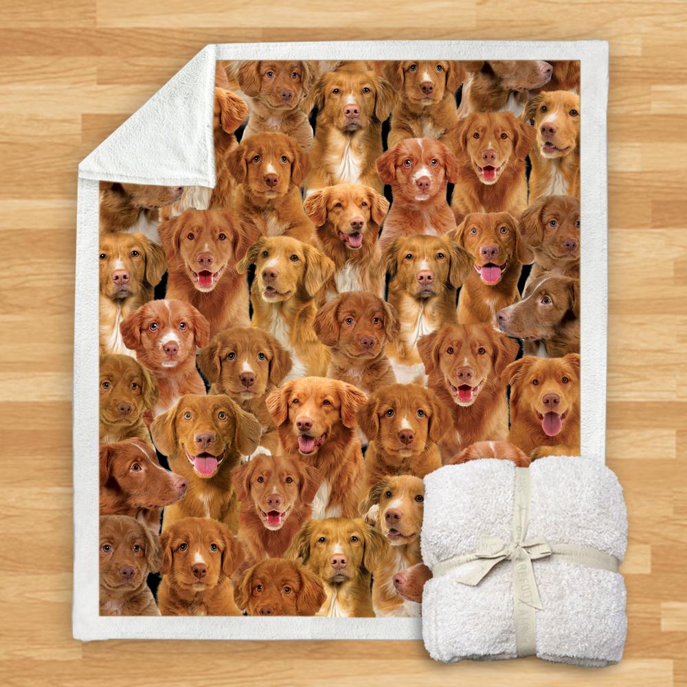 You Will Have A Bunch Of Nova Scotia Duck Tolling Retrievers Blanket You Will Have A Bunch Of Nova Scotia Duck Tolling Retrievers Blanket You Will Have A Bunch Of Blanket