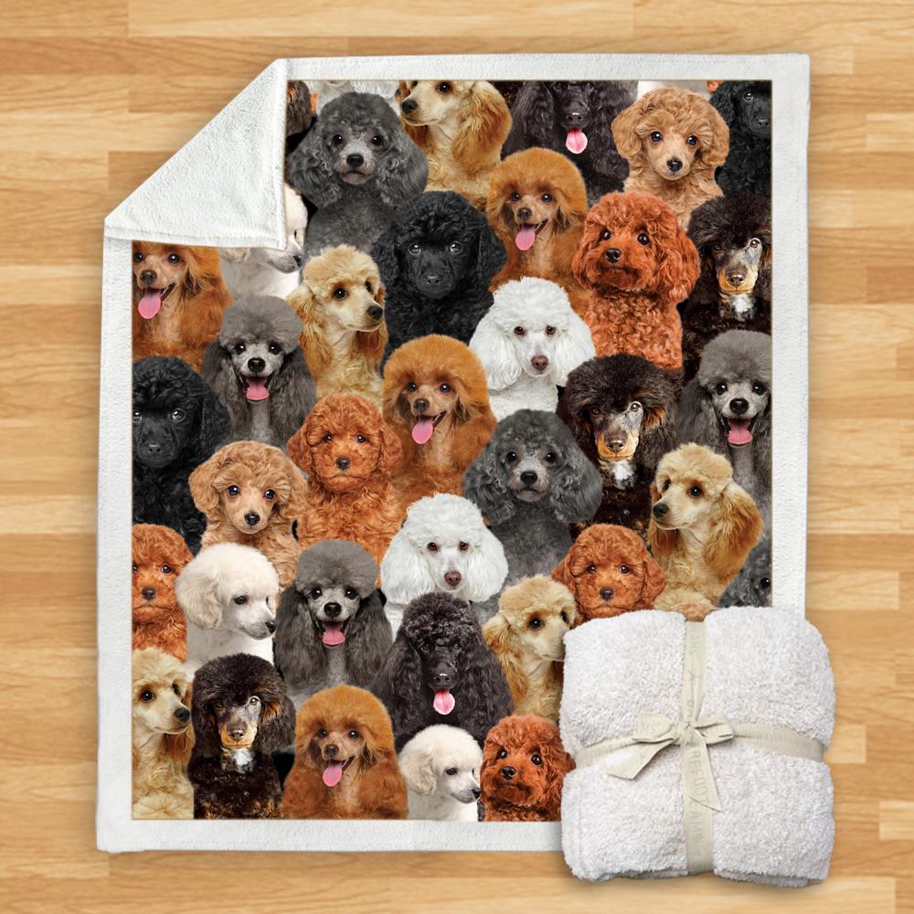 You Will Have A Bunch Of Poodles Blanket You Will Have A Bunch Of Poodles Blanket Poodle Blanket
