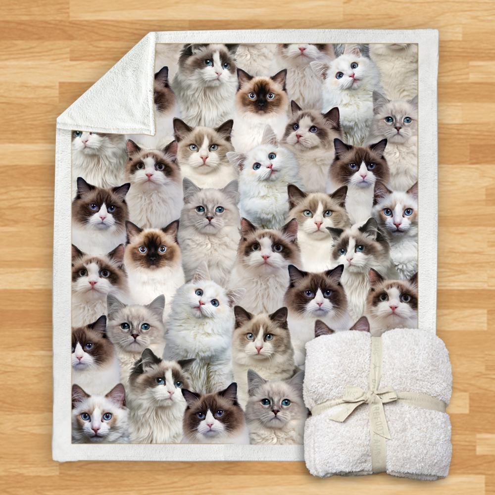 You Will Have A Bunch Of Ragdoll Cats Blanket You Will Have A Bunch Of Ragdoll Cats Blanket You Will Have A Bunch Of Blanket