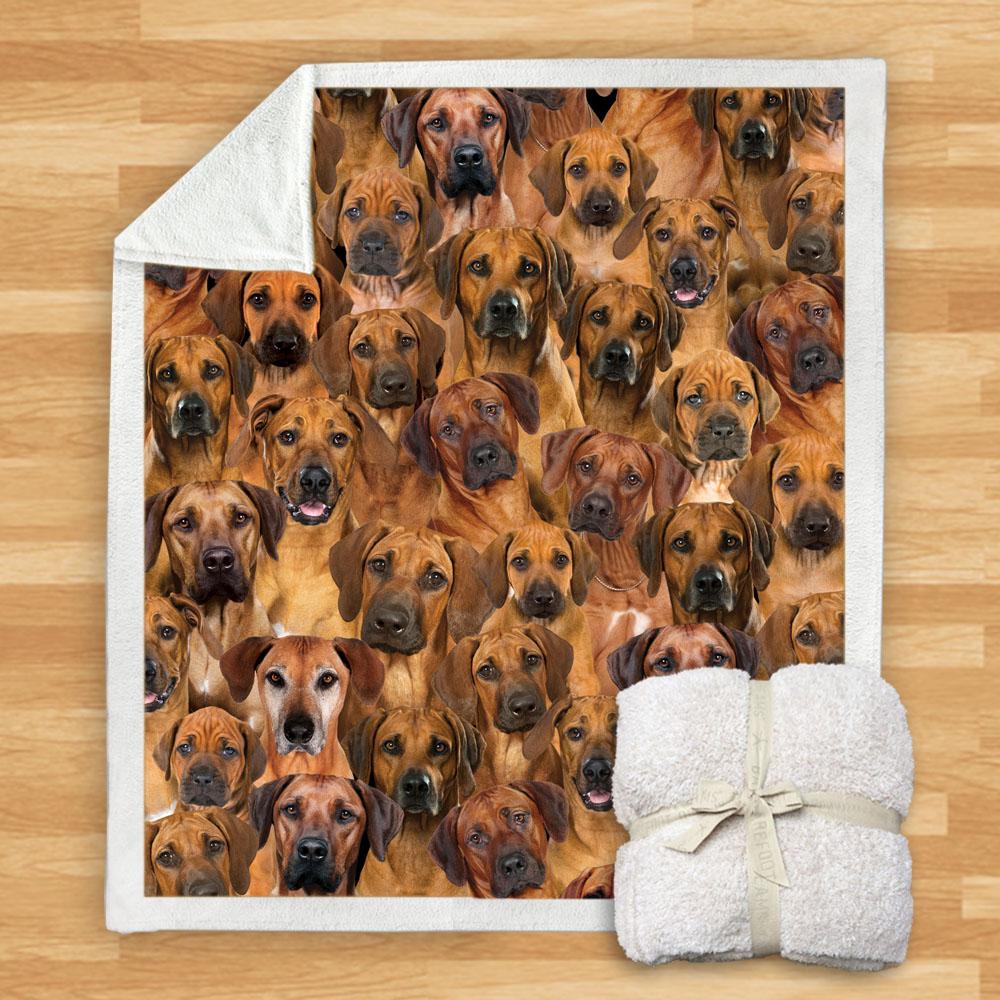 You Will Have A Bunch Of Rhodesian Ridgebacks Blanket You Will Have A Bunch Of Rhodesian Ridgebacks Blanket You Will Have A Bunch Of Blanket
