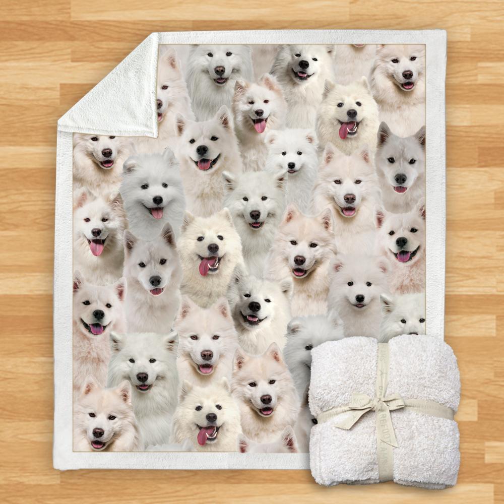 You Will Have A Bunch Of Samoyeds Blanket You Will Have A Bunch Of Samoyeds Blanket You Will Have A Bunch Of Blanket