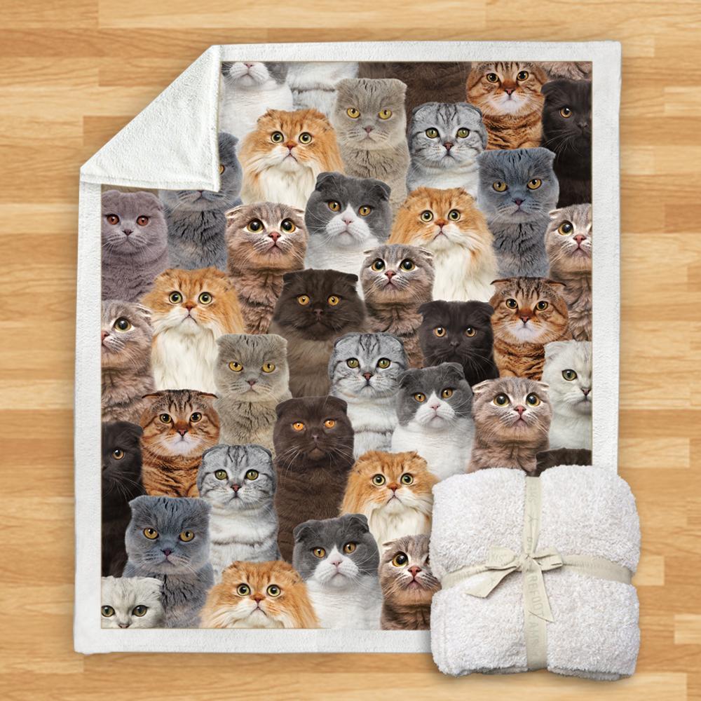 You Will Have A Bunch Of Scottish Fold Cats Blanket You Will Have A Bunch Of Scottish Fold Cats Blanket You Will Have A Bunch Of Blanket