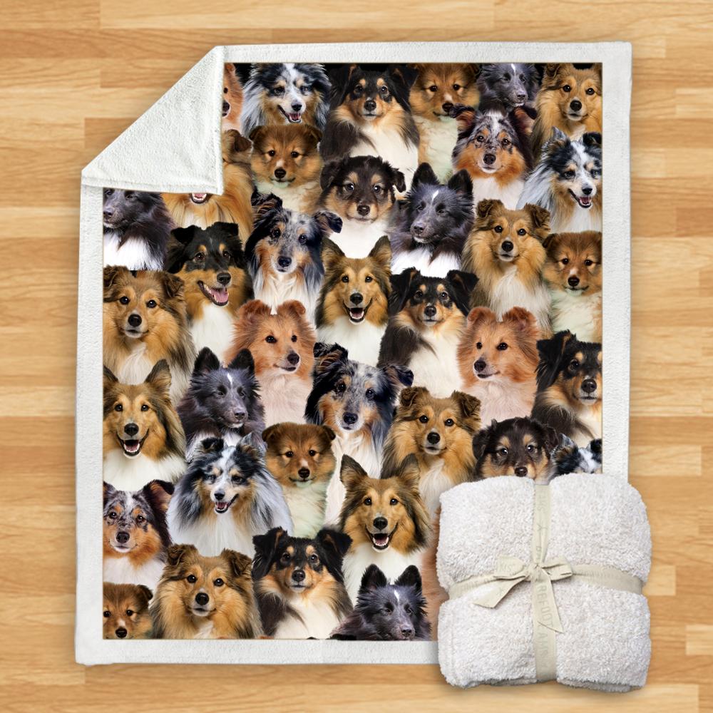 You Will Have A Bunch Of Shetland Sheepdogs Blanket You Will Have A Bunch Of Shetland Sheepdogs Blanket