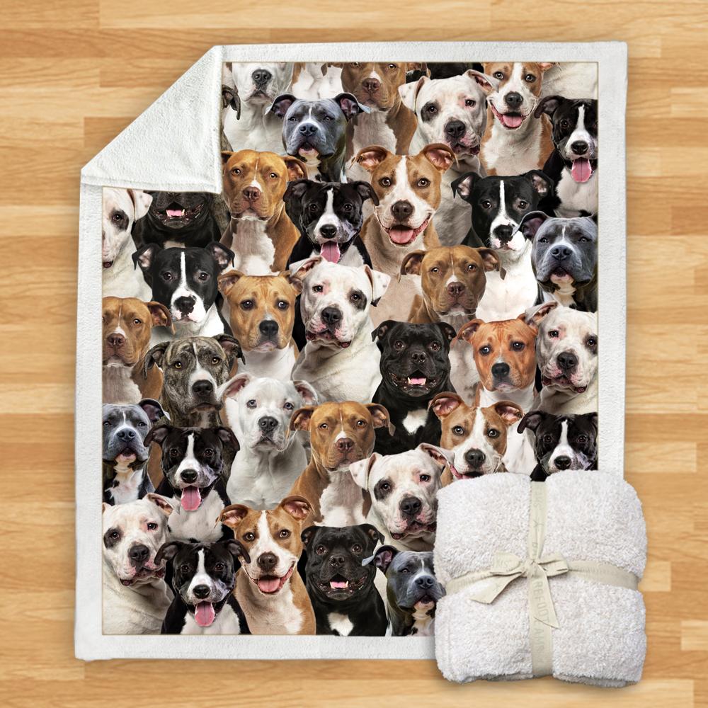 You Will Have A Bunch Of Staffordshire Bull Terriers Blanket You Will Have A Bunch Of Staffordshire Bull Terriers Blanket