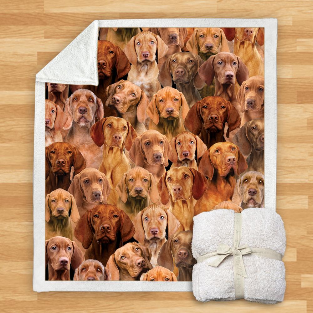 You Will Have A Bunch Of Vizslas Blanket