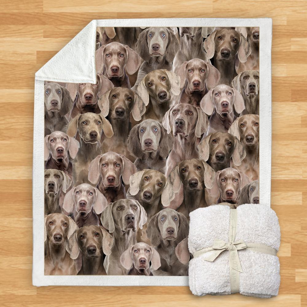 You Will Have A Bunch Of Weimaraners Blanket You Will Have A Bunch Of Weimaraners Blanket