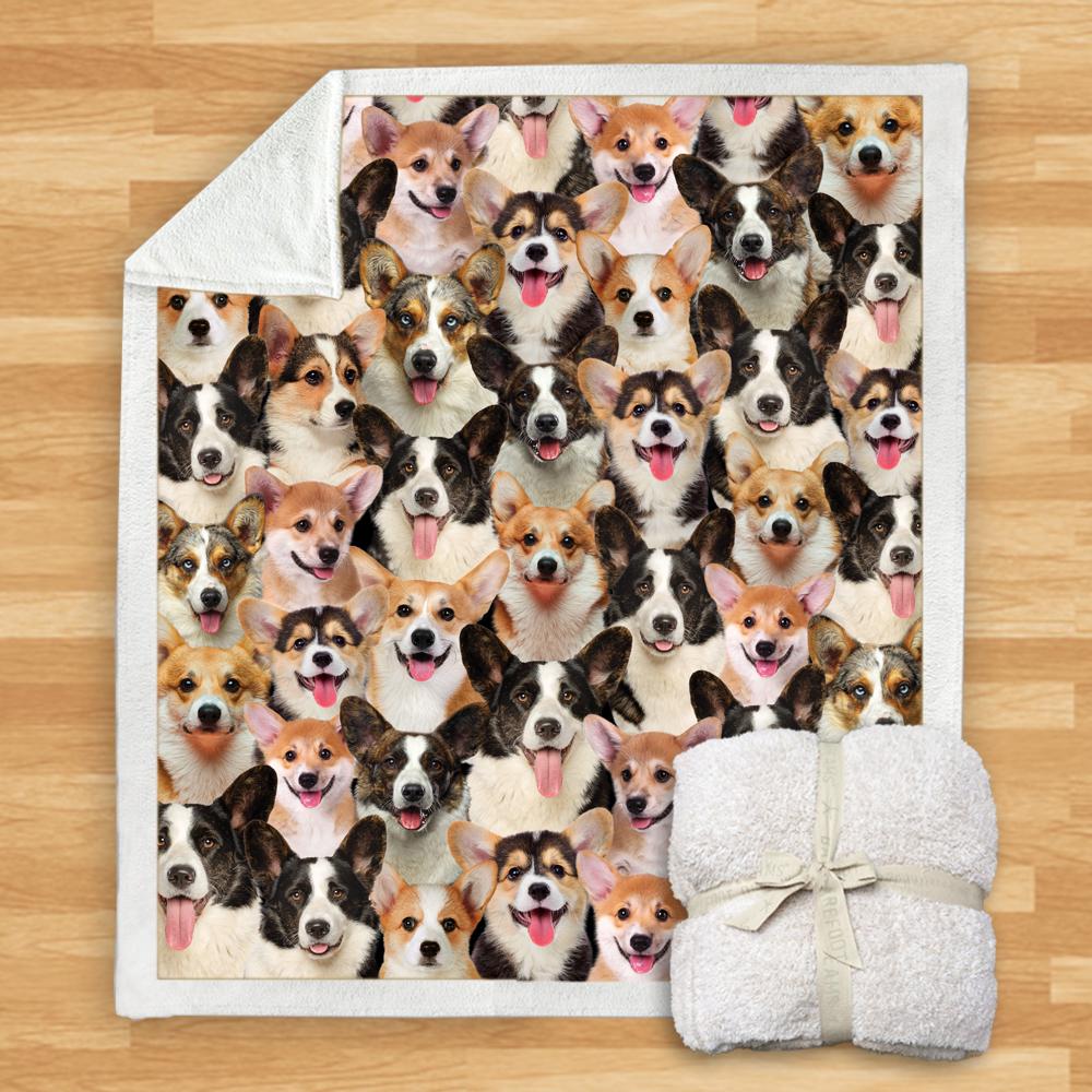You Will Have A Bunch Of Welsh Corgies Blanket